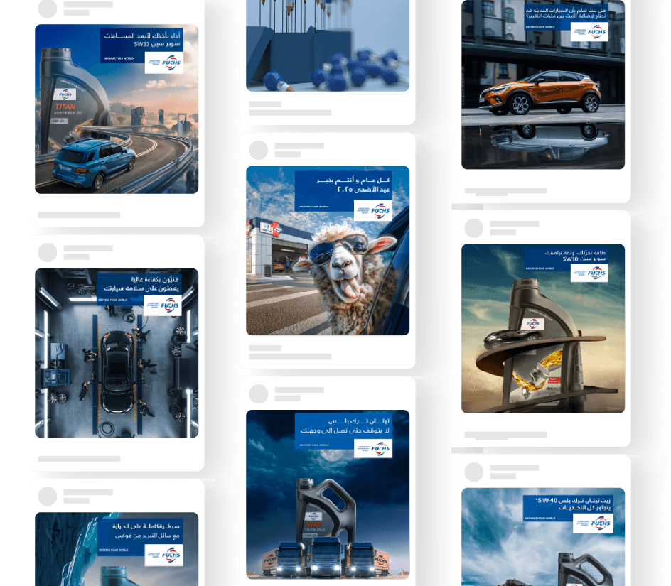 فوكس project image