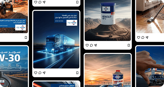 فوكس project image